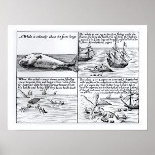 Póster Caza de ballenas en Spitzbergen en 1611 (grabado)