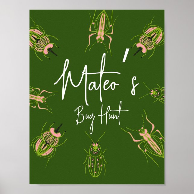 Póster Caza de Bichos Fiesta de Cumpleaños Insectos Dibuj (Frente)