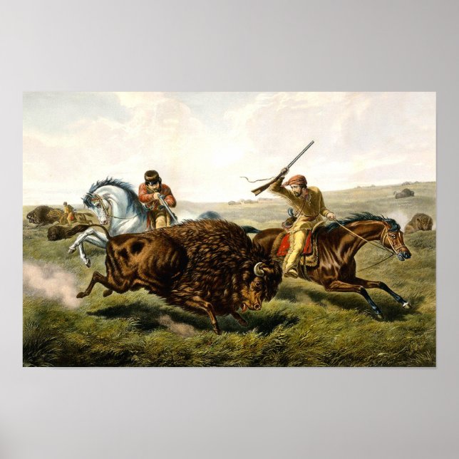Póster Caza de Búfalos en EE. UU. (Frente)