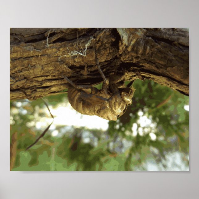 Póster Caza de Cicada. Tenía prisa. (Frente)