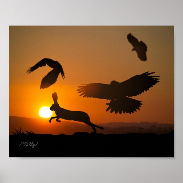 Póster Caza de halcones de Harris (Frente)