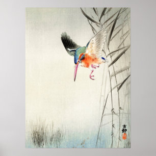 Póster Caza de Kingfisher - Ohara Koson - Art 18A