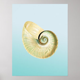 Póster Caza de Nautilus