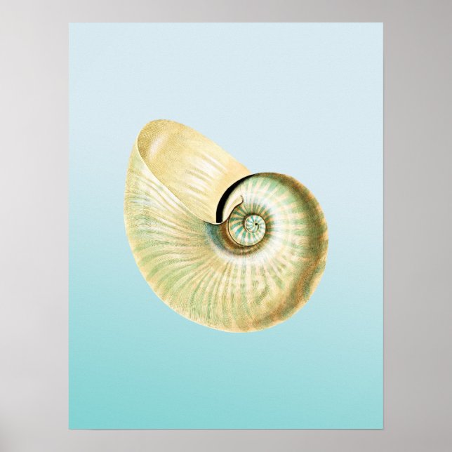 Póster Caza de Nautilus (Frente)