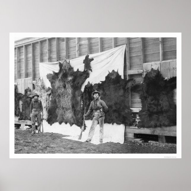 Póster Caza de osos Alaska 1906 (Frente)