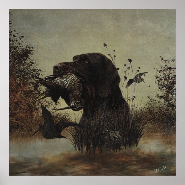 Póster Caza de Woodcock con puntero de hilo alámbrico ale (Frente)