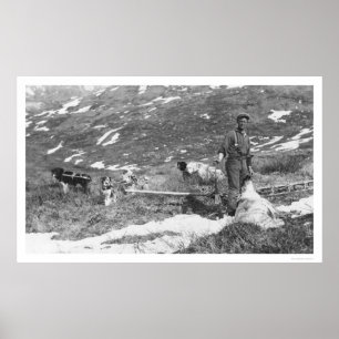 Póster Caza del equipo de perros de Alaska en 1912