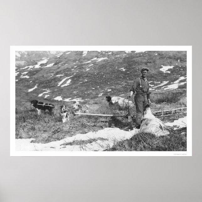 Póster Caza del equipo de perros de Alaska en 1912 (Frente)