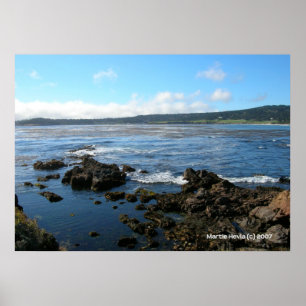 Póster Caza del Pacífico sobre las rocas