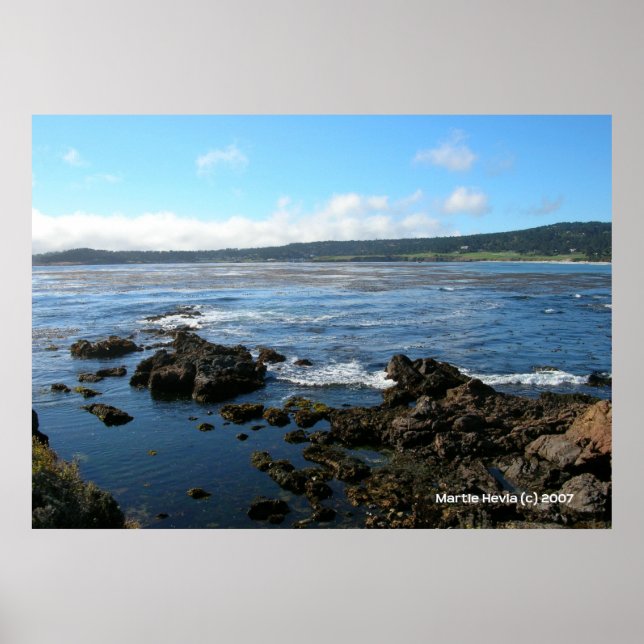 Póster Caza del Pacífico sobre las rocas (Frente)