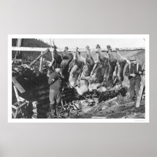 Póster Cazadores Alaska 1928 del caribú