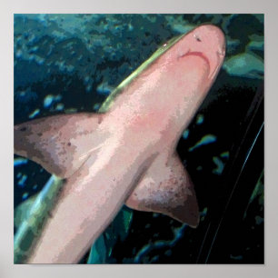 Póster CB de tiburón