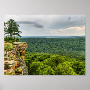 Póster CCC Ignorar Petit Jean
