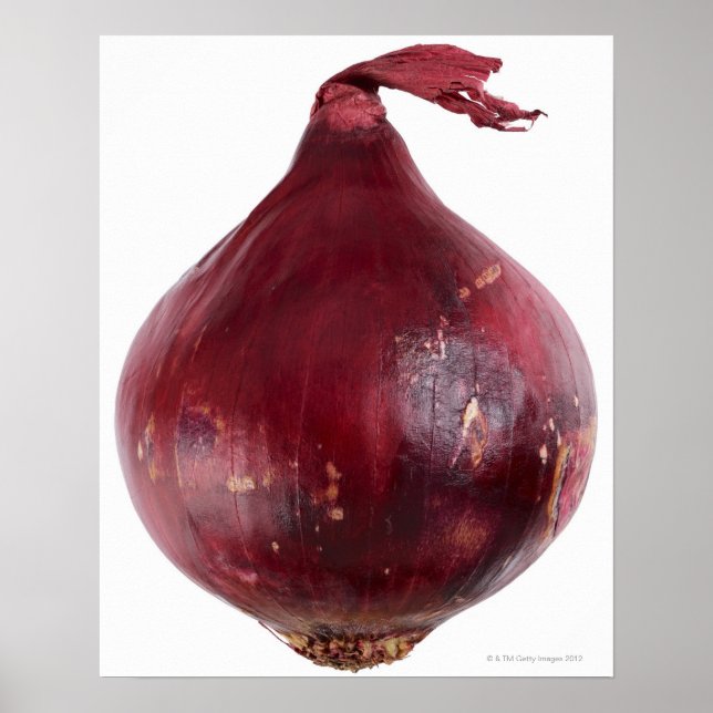 Póster Cebolla roja aislada en fondo blanco, DFF (Frente)