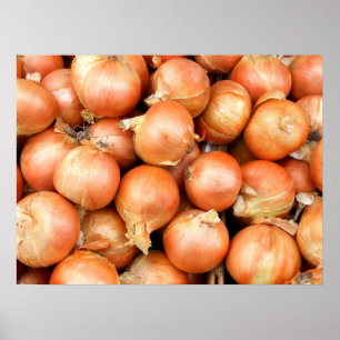 Póster Cebollas