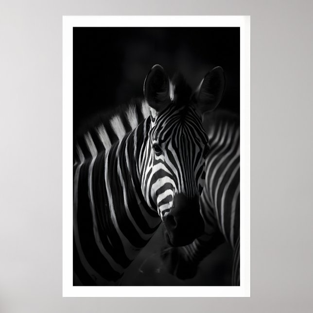 Póster Cebra Estampado Negro y Blanco, Retrato de Cerca (Frente)