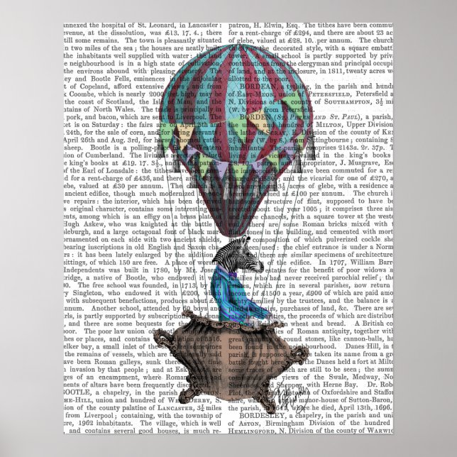 Póster Cebra voladora (Frente)