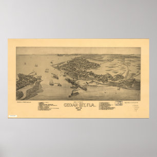 Póster Cedar Key Florida 1884 Panoramic Map