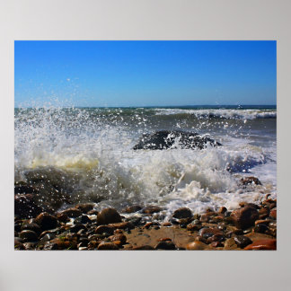 Póster CedarTreeNeck16x20