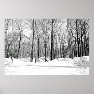 Póster Cegado por la nieve