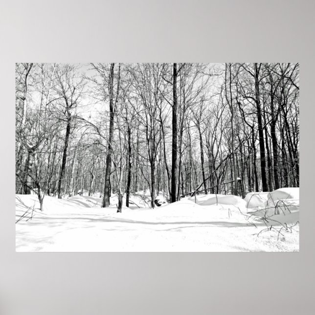 Póster Cegado por la nieve (Frente)