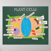 Celdas de planta *ACTUALIZADAS*