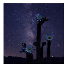 Póster Celebración bajo las estrellas