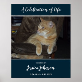 Póster Celebración de la entrada de la vida Foto uno