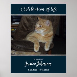 Póster Celebración de la entrada de la vida Foto uno