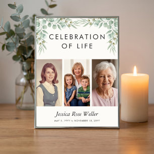 Póster Celebración de la vida con eucalipto 3 Foto de bie
