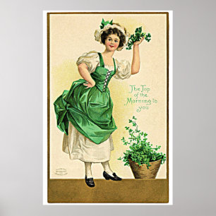 Póster Celebración del Día de San Patricio