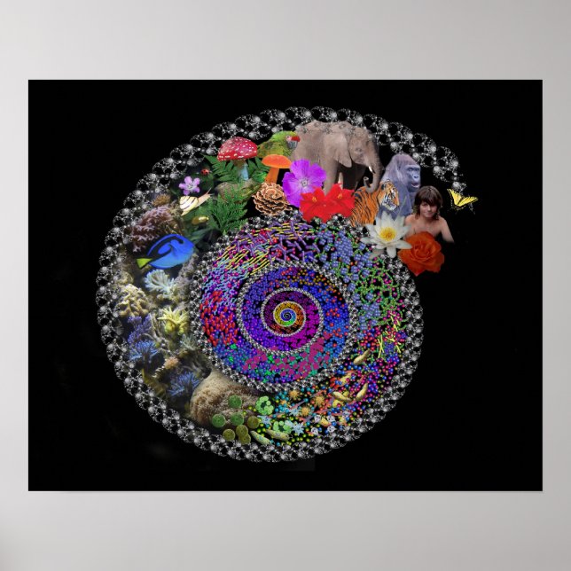 Póster Celebrar la evolución (Frente)