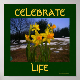 Póster celebrar la vida/primavera