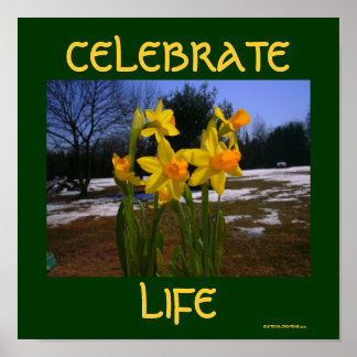 Póster celebrar la vida/primavera