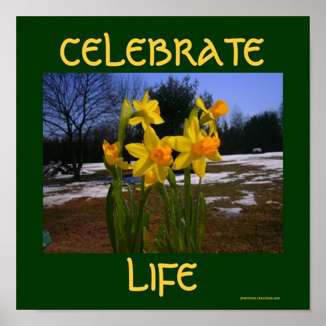 Póster celebrar la vida/primavera (Frente)