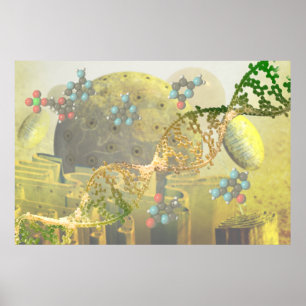 Póster Célula con la DNA