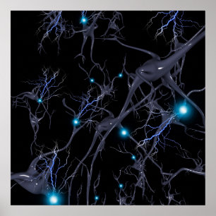 Póster Células cerebrales. Neuronas