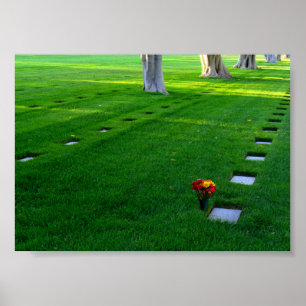 Póster Cementerio