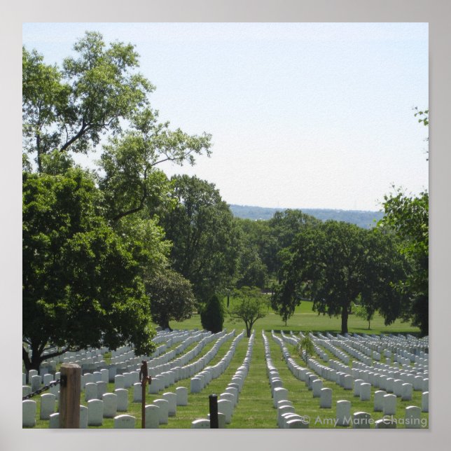 Póster Cementerio de Arlington (Frente)