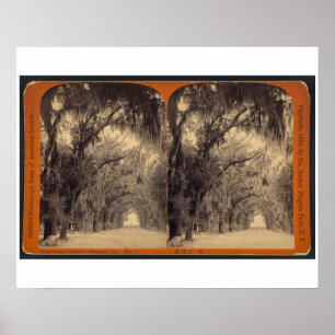 Póster Cementerio de Bonaventure, sabana, GA C. 1887