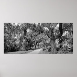 Póster Cementerio, Savannah Ga, MD Photography