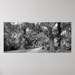 Póster Cementerio, Savannah Ga, MD Photography