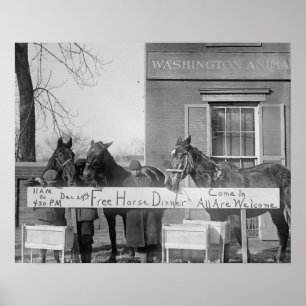 Póster Cena gratis para caballos, 1923. Foto de cosecha d