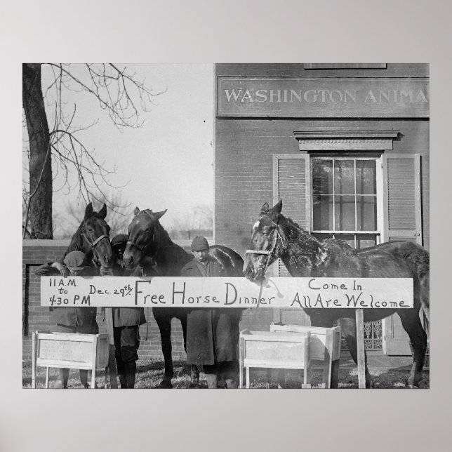 Póster Cena gratis para caballos, 1923. Foto de cosecha d (Frente)
