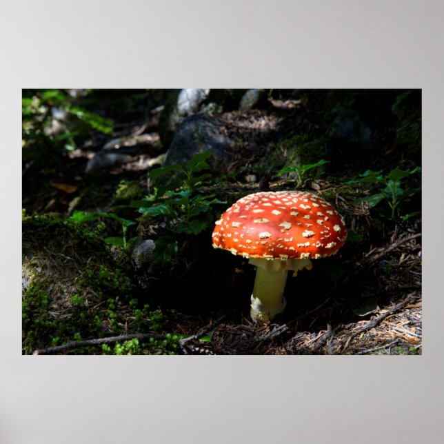 Póster Central Cascades, Washington State (Frente)