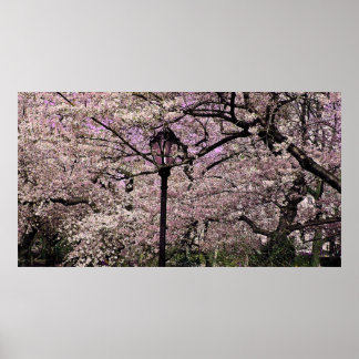 Póster Central Park