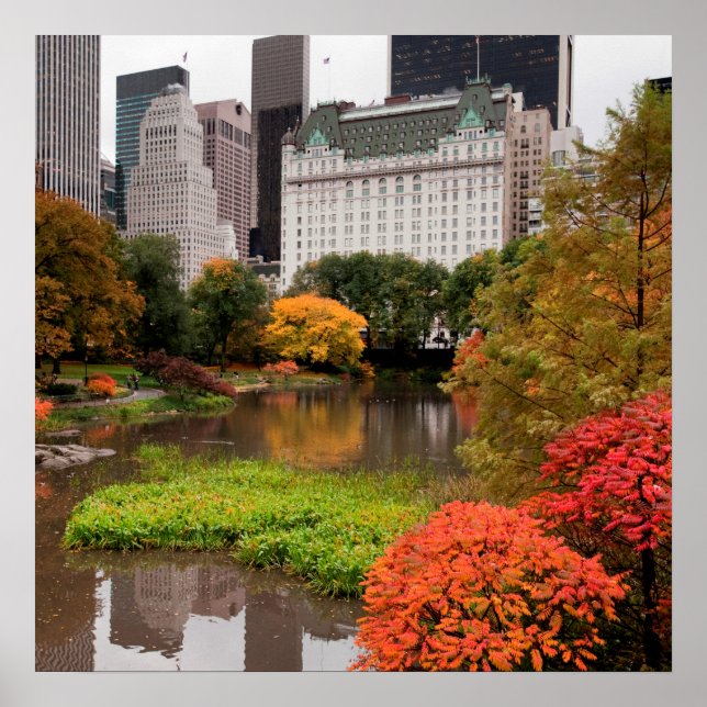Póster Central Park en el poster de otoño (Frente)