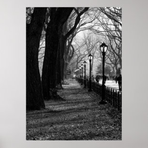 Póster Central Park, New York City