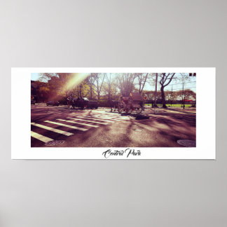 PÓSTER CENTRAL PARK NEW YORK POSTER