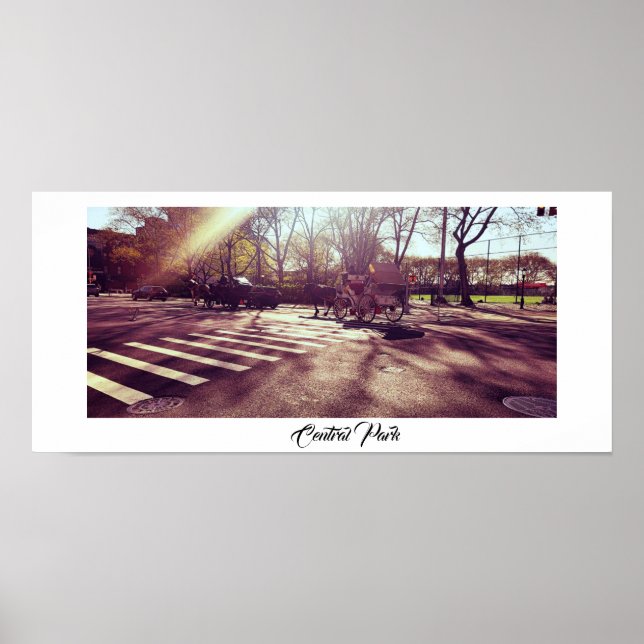 PÓSTER CENTRAL PARK NEW YORK  POSTER (Frente)